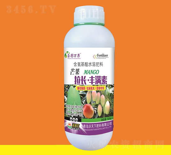 â�����L(zh��ng)�S�M��-ʥ���f(w��n)��-������