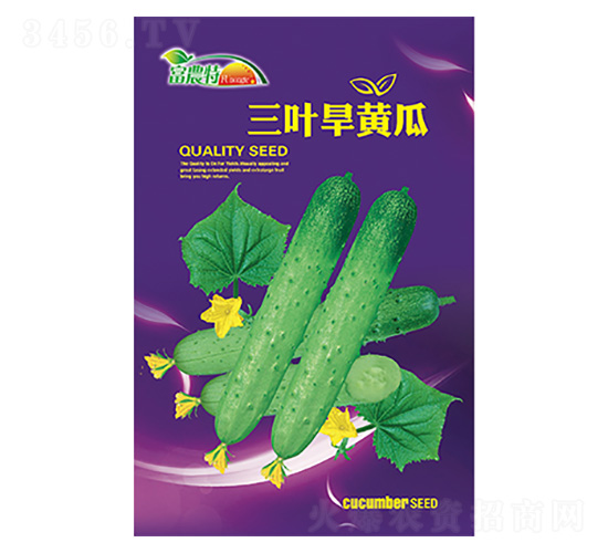 �S�ϷN��-���~���S��-����