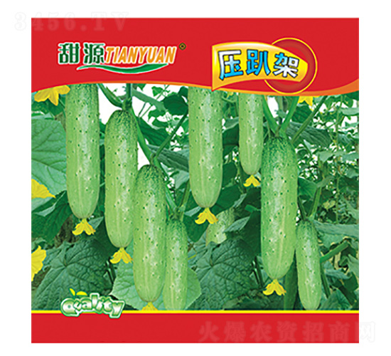 �S�ϷN��-��ſ��-����