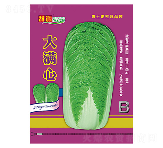 �ײ˷N��-��M��-B-����