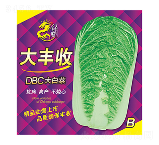 DBC��ײ�-���S��B-����