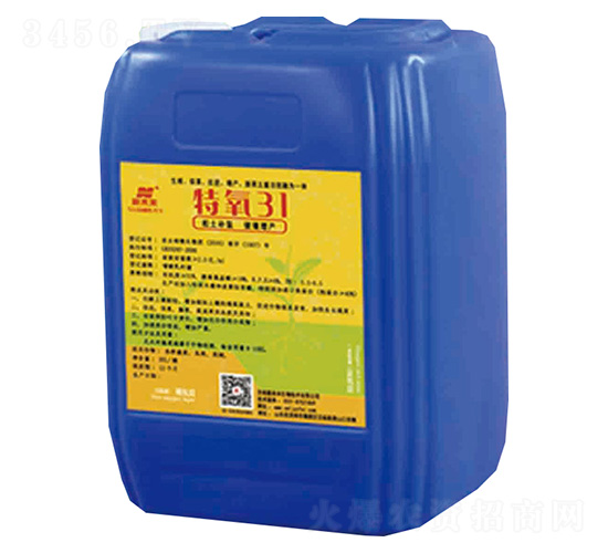 ����31-��δ��