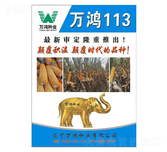 ���׷N��-�f��113-�f���N�I(y��)