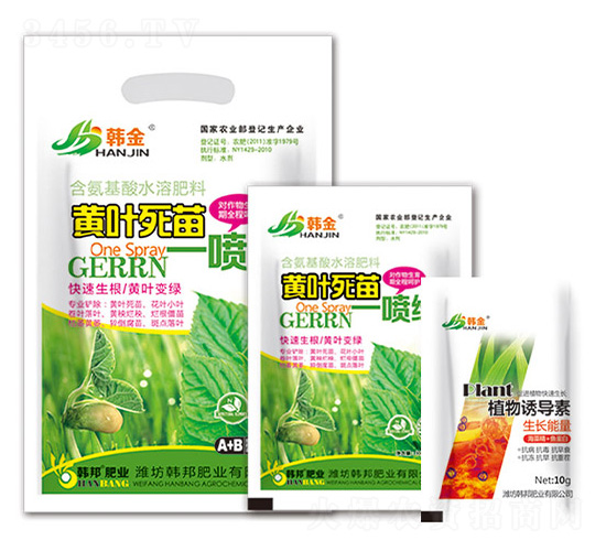 �S�~����һ���G-�n��-�n��ʘI(y��)