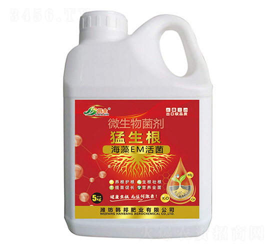 ΢�������-������-�n��-�n��ʘI(y��)