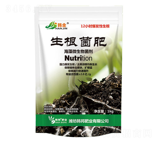 ��������΢�������-�n��-�n��ʘI(y��)