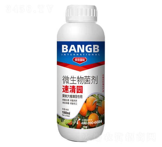 ����@΢�������-��ʘI(y��)