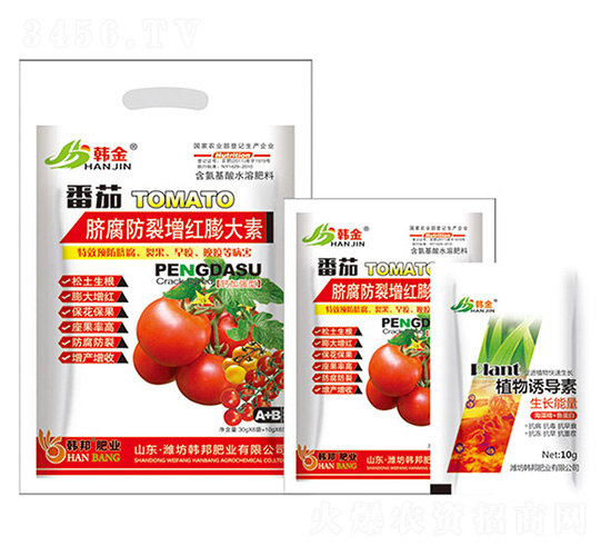 ����Ě���������t�����-�n��-�n��ʘI(y��)