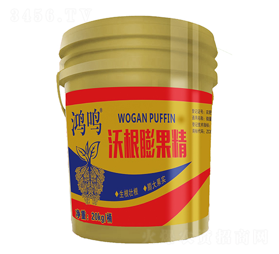 �ָ������-���Q