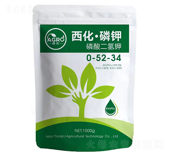 ��������⛣��������⛣�-������