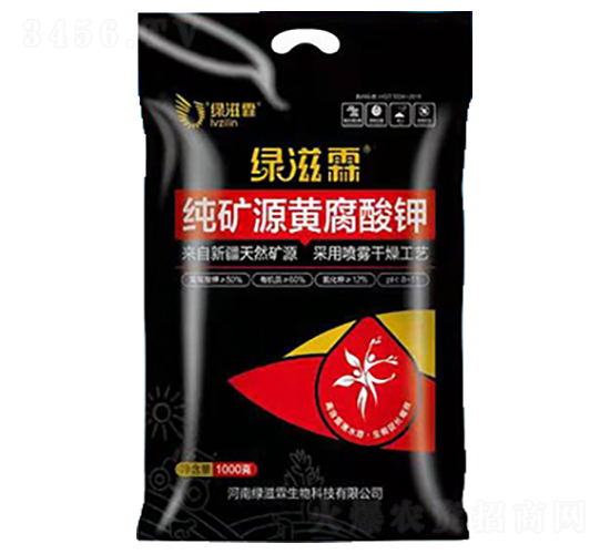 ���VԴ�S�����-�G����