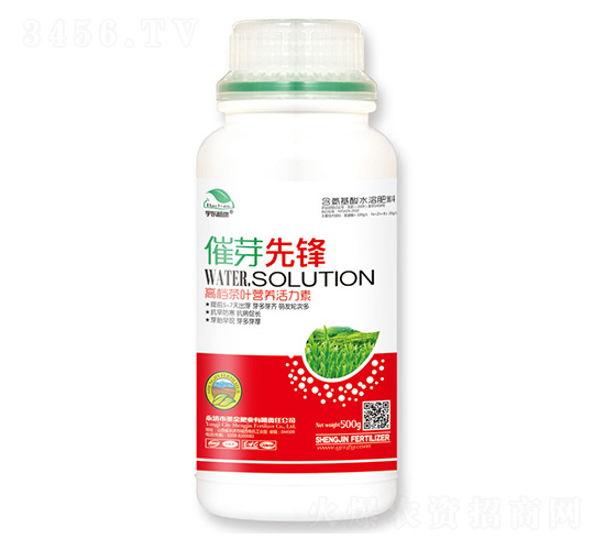 �߶˲��~�I�B(y��ng)������-��ѿ���h-��|ֲ��-ʥ��ʘI(y��)