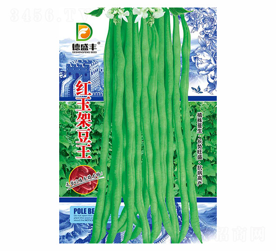 �t��ܶ���-��ʢ�S