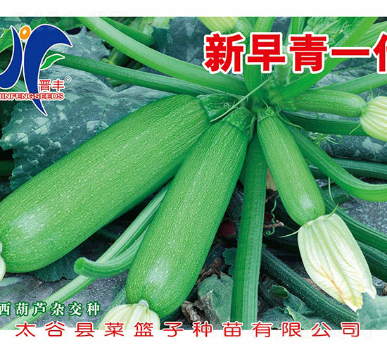 ��һ������-�x�S-��ʢ�S