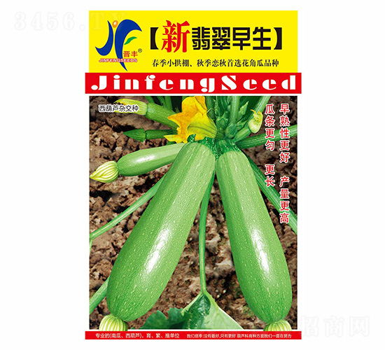 ���������-�x�S-��ʢ�S