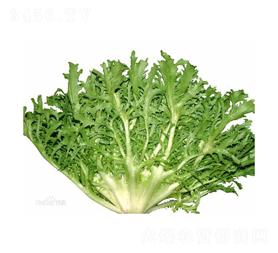 Korbi-���ķN��-���r(n��ng)�r(n��ng)�I(y��)