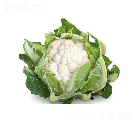 ����904-���˷N��-���r(n��ng)�r(n��ng)�I(y��)