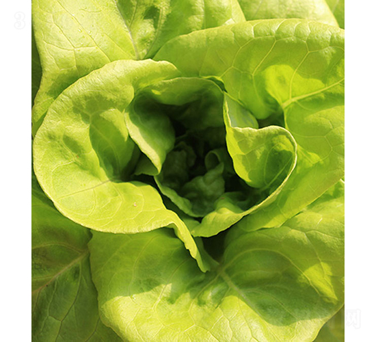 ��������-���˷N��-���r(n��ng)�r(n��ng)�I(y��)