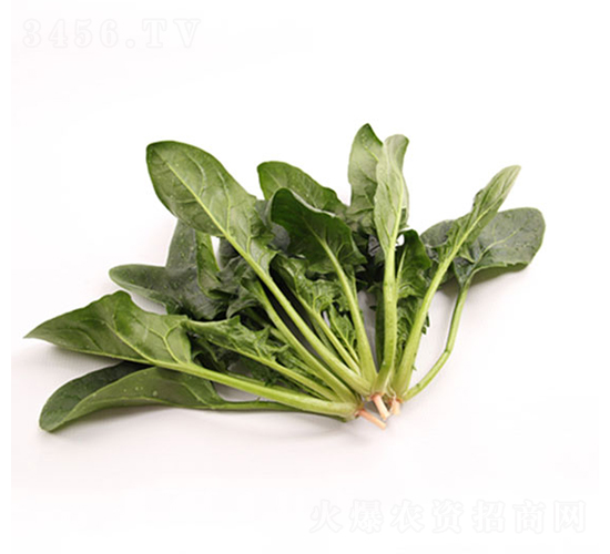 �ǻ�126-���˷N��-���r(n��ng)�r(n��ng)�I(y��)