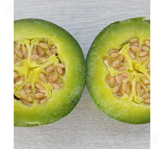 ���������-��˷N��-���r(n��ng)�r(n��ng)�I(y��)