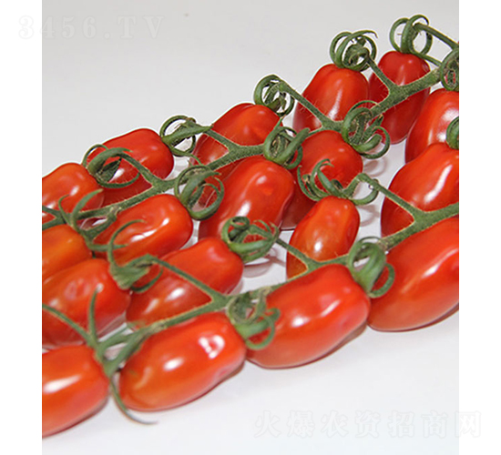 ���r(n��ng)148-С���ѷN��-���r(n��ng)�r(n��ng)�I(y��)