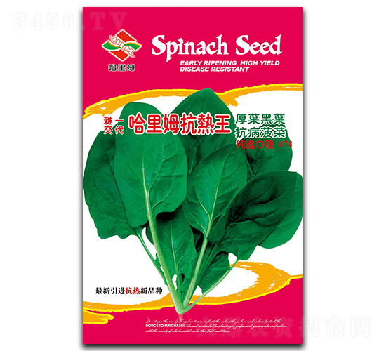 ����ķ������-���˷N��-����ķ