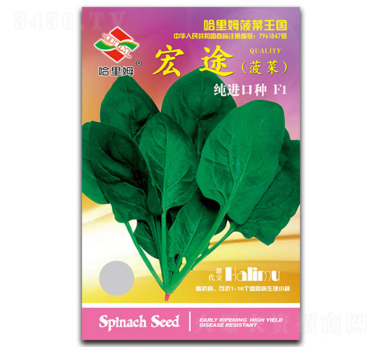 ��;-���˷N��-����ķ