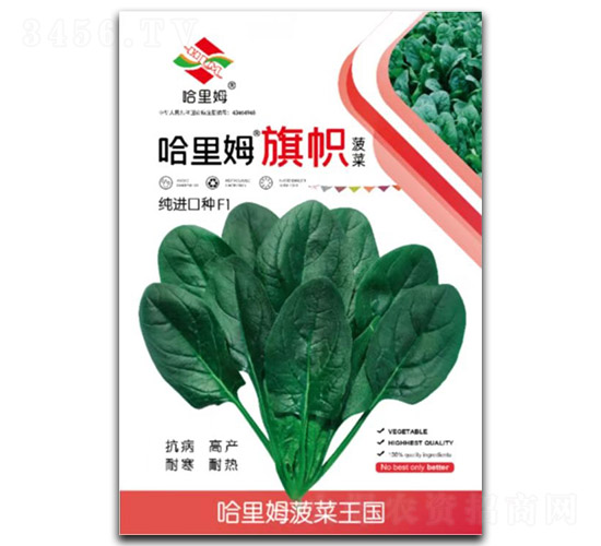 ���-���˷N��-����ķ