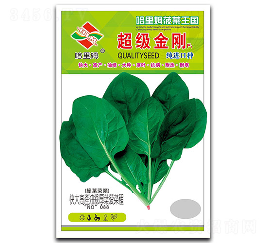 ��������-���˷N��-����ķ