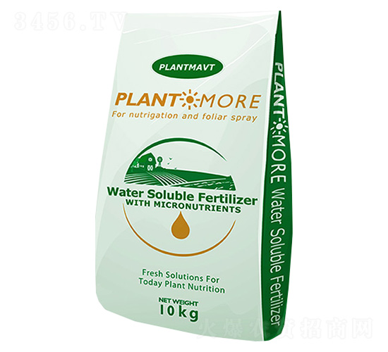 ���|(zh��)����-��������