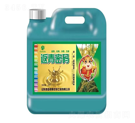 �����ܴa���w����-�W�׵�˹