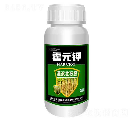 ��Ԫ⛹��{���ѷ�-ʢ������