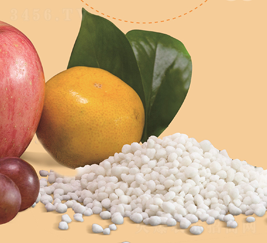 �w���������@-ʢ��ʘI(y��)