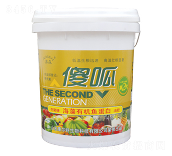 ɵ��-������