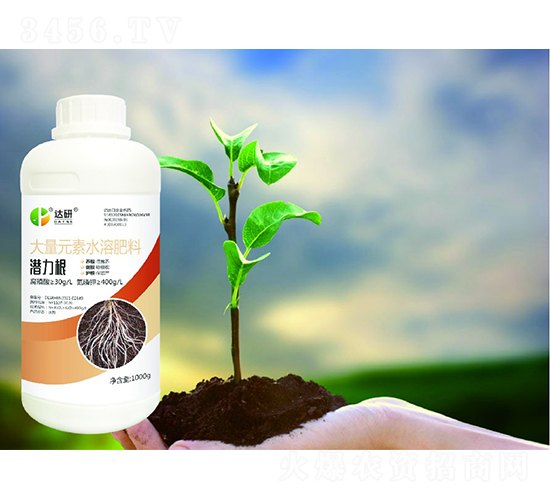 ����Ԫ��ˮ�ܷ���-������-�_(d��)������