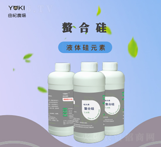 ���Ϲ��-�ɼo����