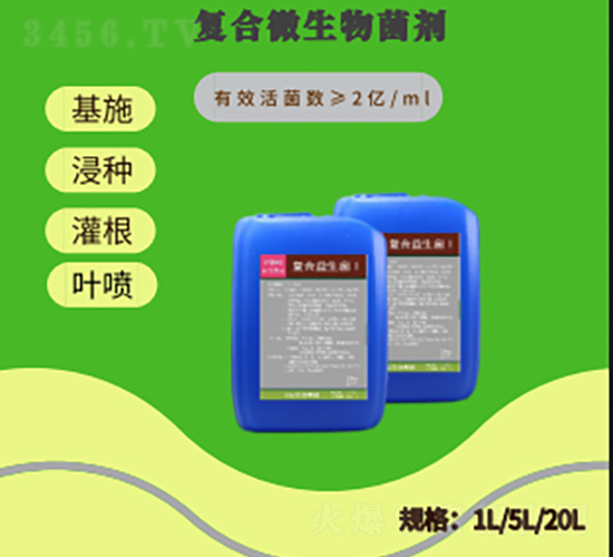 �ͺ���������-�ɼo����