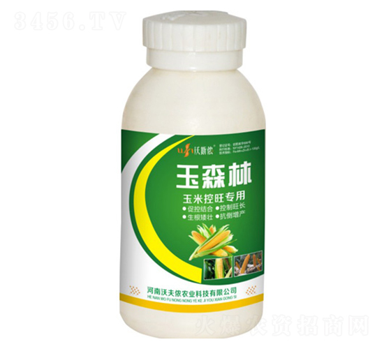 ���׿�������-��ɭ��-�ַ�z