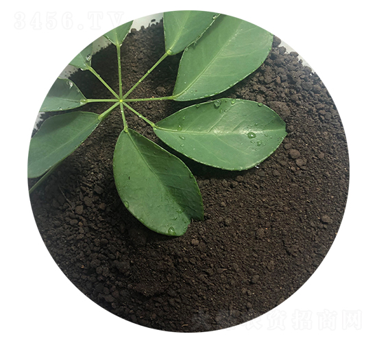 �۠��ЙC����-ϲ��������