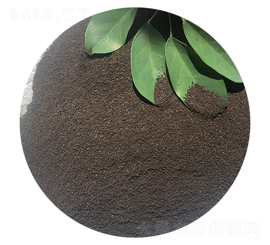 �۠������ЙC(j��)��-ϲ��������