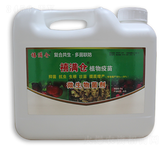 ���M�}΢�������-���M��΢