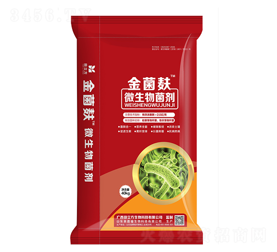 ΢�������-�����-������