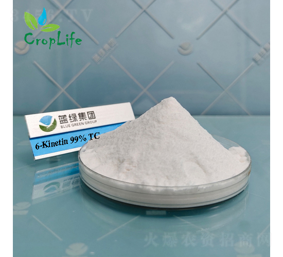 6-����������-��(��i)��˹����