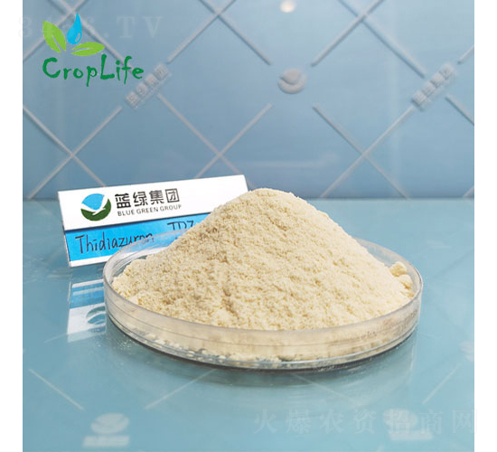 �籽¡-����˹����