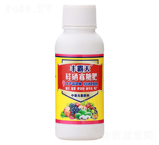 �������Ƿ�-�S����-�����S