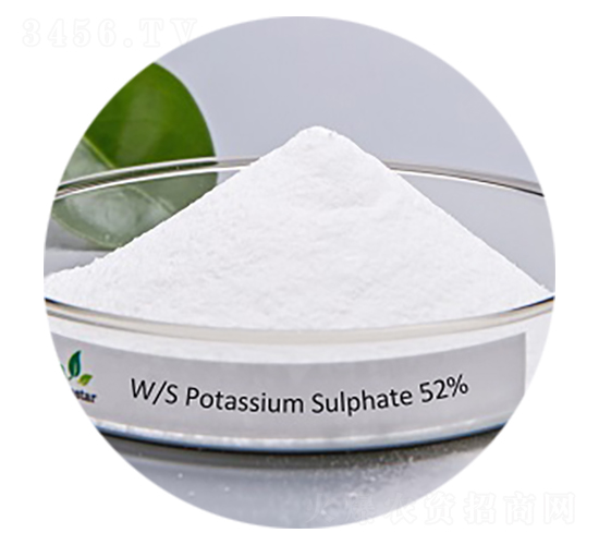 ����⛣����ܼ�(j��)��-�۸�˼�_(d��)