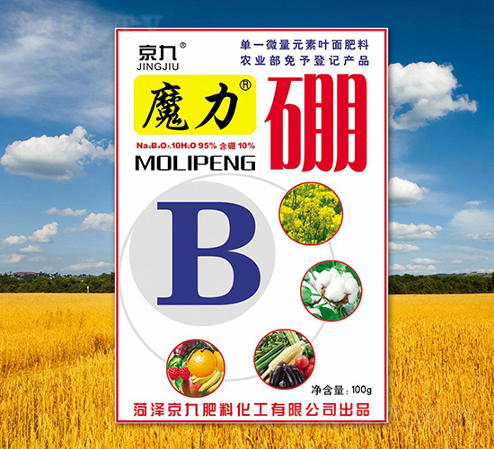 ħ����-����