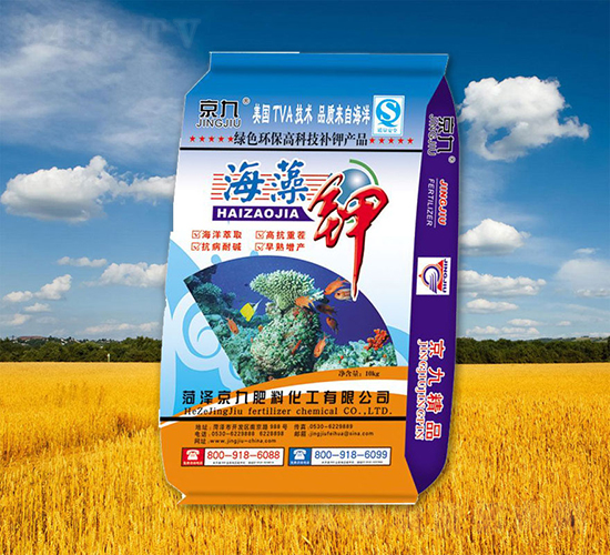 �����-����