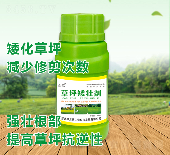 ȫ���ƺ���ф�-��Ԫ��