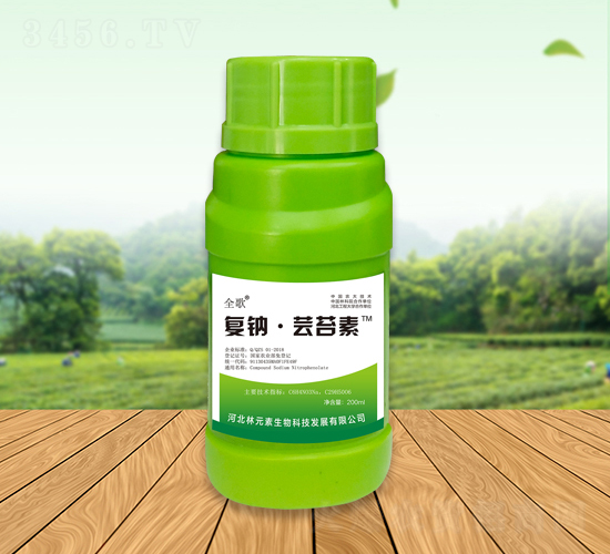 ȫ���(f��)�c���|̦��-��Ԫ��